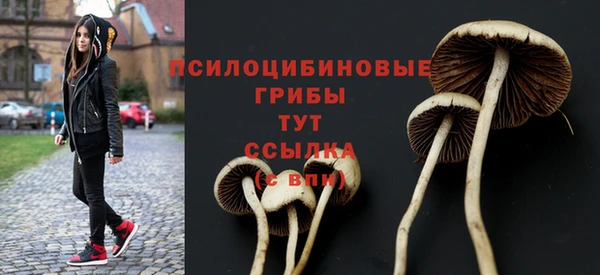 дмт Алзамай