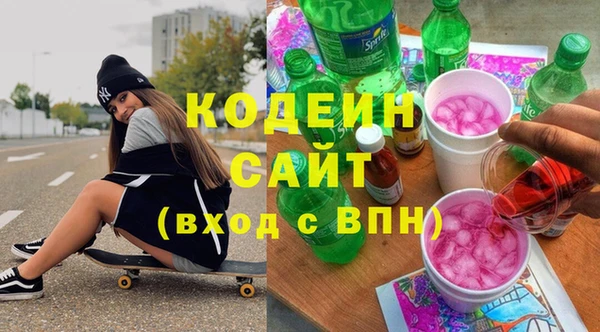 гашик Алексин