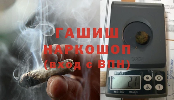 гашик Алексин