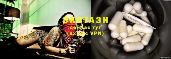 гашик Алексин
