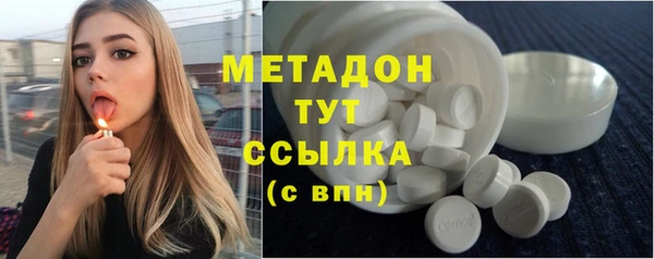 гашик Алексин