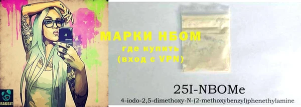 гашик Алексин