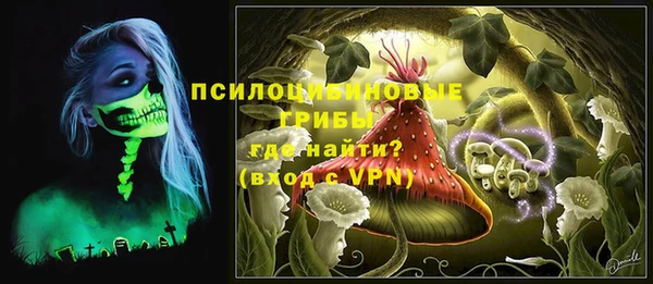 гашик Алексин