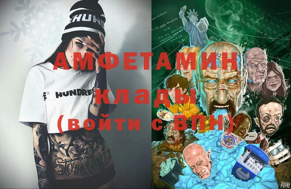 гашик Алексин
