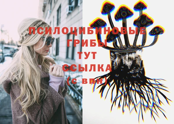 гашик Алексин